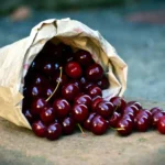 بساتين وفواكه الطائف
