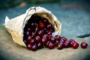 بساتين وفواكه الطائف