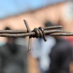 فن التصوير والإلهام