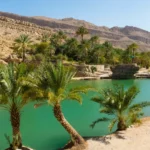 أسئلة عن ولايات السلطنة