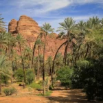 بماذا يتميز مناخ المرتفعات الجنوبية الغربية في المملكة العربية السعودية