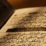 ما السورتان اللتان تظلان المؤمن يوم القيامه