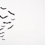 كيف يمكن للخفافيش تحديد موقع فريستها؟
