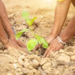 مهارات تؤهلك للانضمام للعمل التطوعي